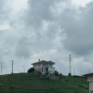 0f947429-6ef6-477e-b15d-f38e56e84d10