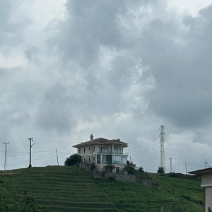 31e0c90e-bc40-4caa-ac4b-77659400850d