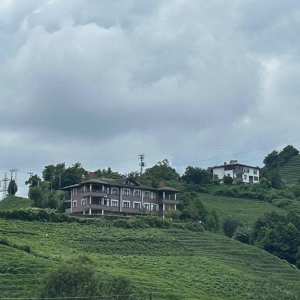 566a52e0-13a8-4562-9709-1fe951632784