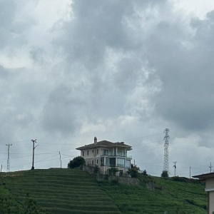 ad3a0012-31e9-49bd-a7f1-3582e6e45fa6